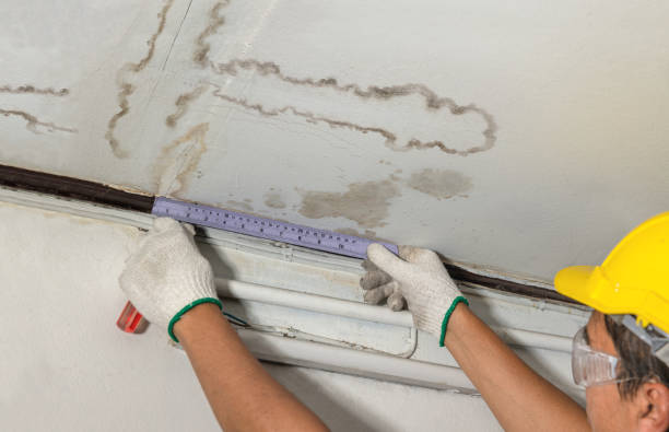 Reliable Mold Remediation contractor in Amesville, OH by Water Damage Irwin